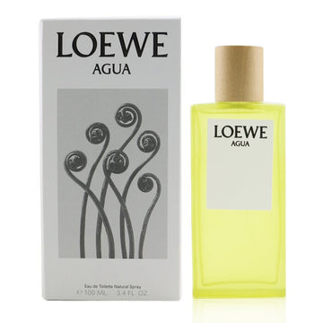 Agua Eau De Toilette Spray