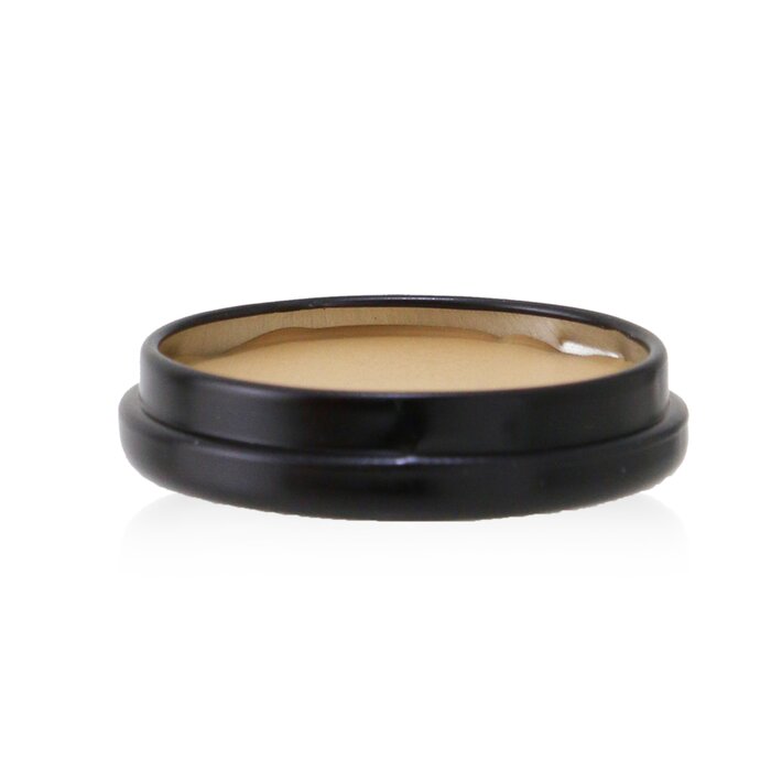 Anne T. Dotes Concealer